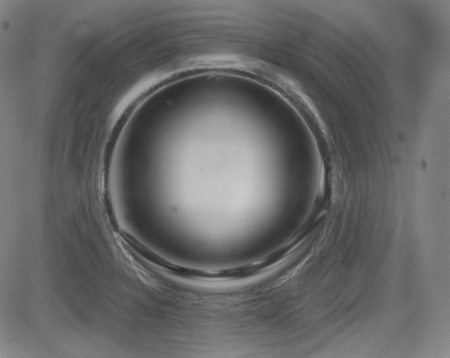 X0000083051328200702021208