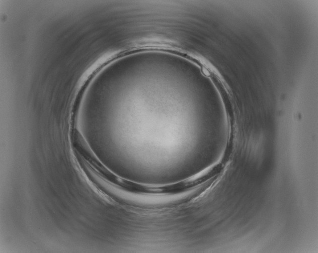 X0000083051333200702021208