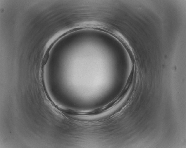 X0000083051336200702021209