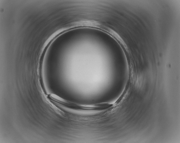 X0000083051339200702021209
