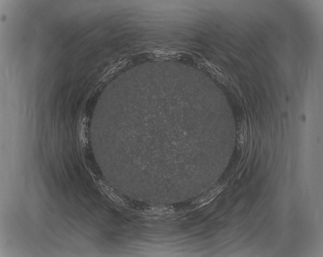 X0000083051346200702021208