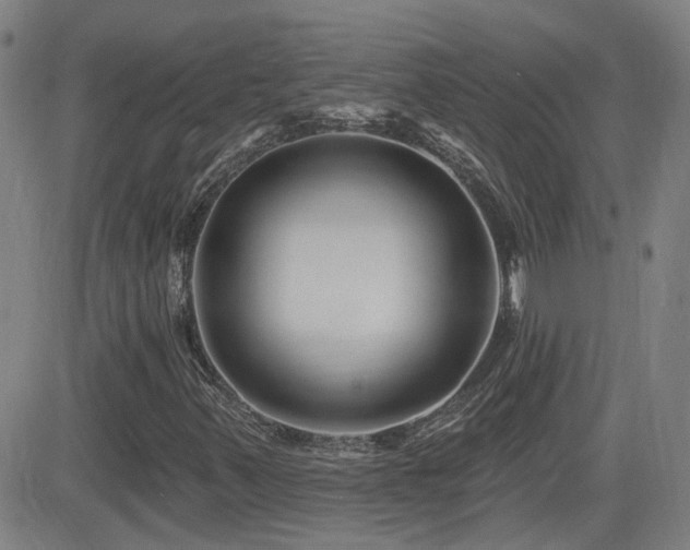 X0000083051347200702021208