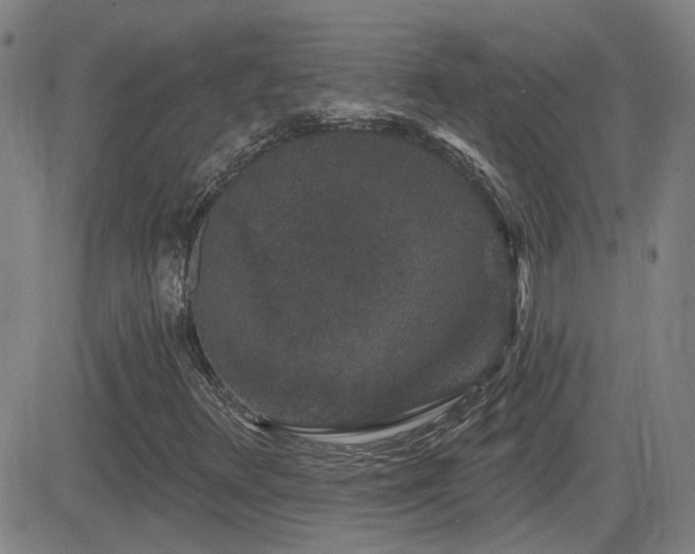 X0000083051348200702021208