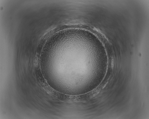 X0000083051350200702021208