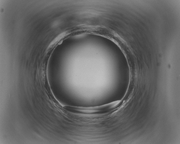 X0000083051354200702021208