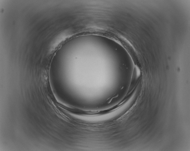 X0000083051355200702021208