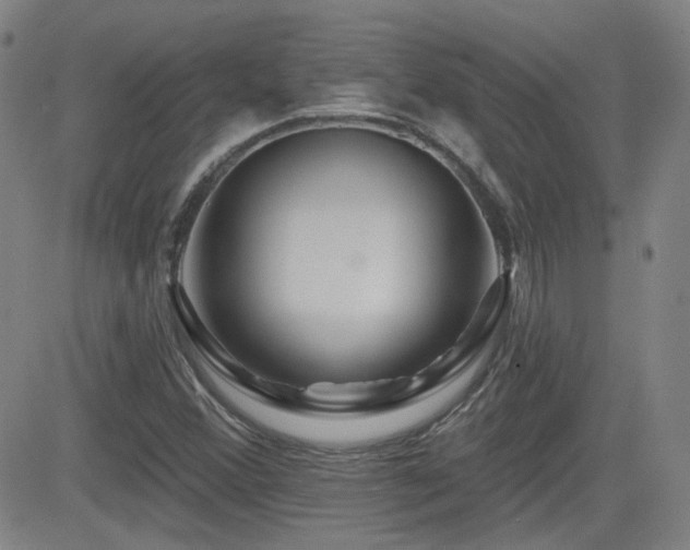 X0000083051356200702021208