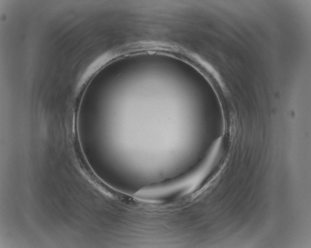 X0000083051365200702021208
