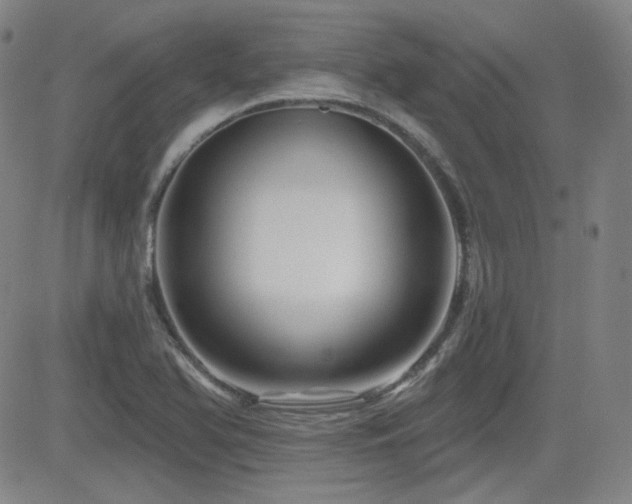 X0000083051366200702021208