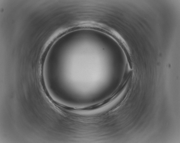 X0000083051376200702021207