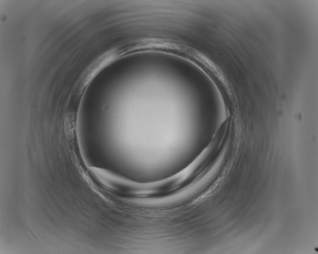 X0000083051377200702021207