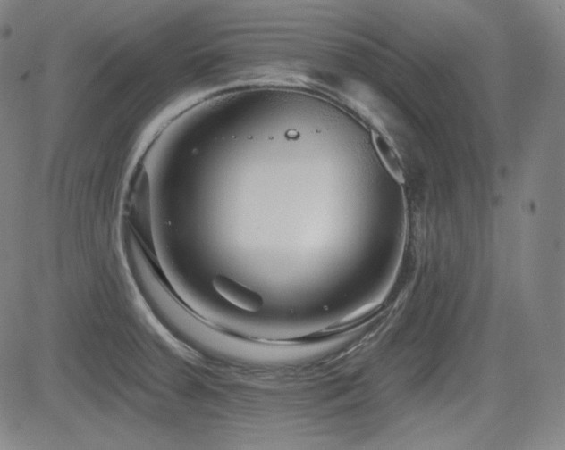 X0000083051379200702021207