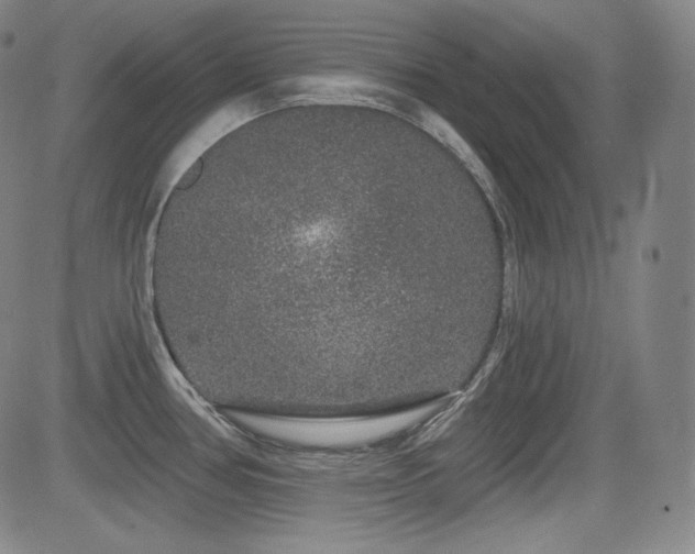 X0000083051386200702021207