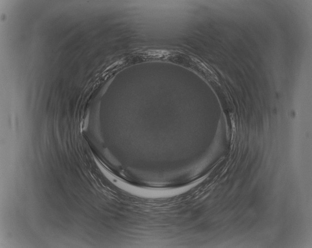 X0000083051394200702021206