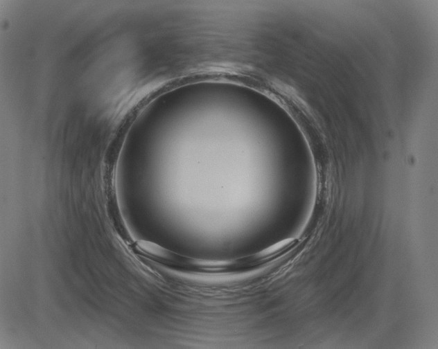 X0000083051404200702021207