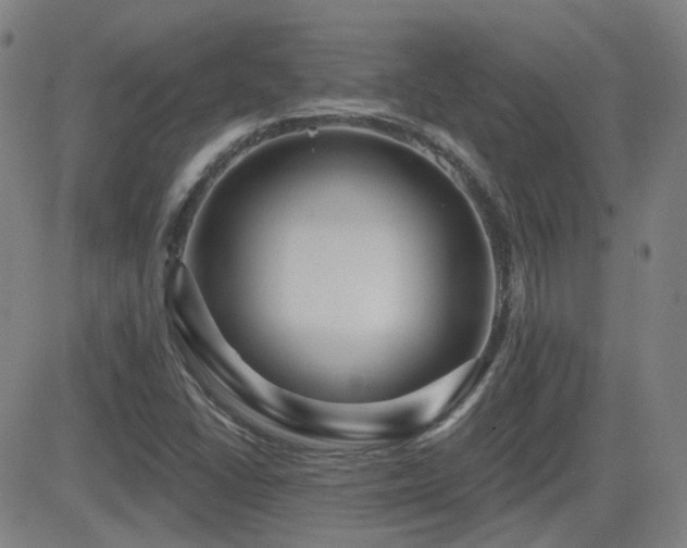 X0000083051406200702021207