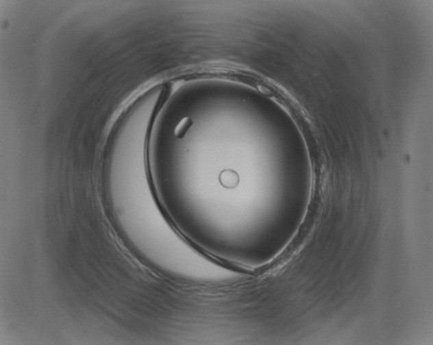 X0000083051410200702021207