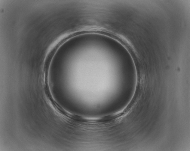 X0000083051414200702021207