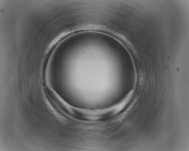 X0000083051422200702021207