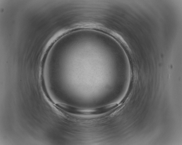 X0000083051424200702021207