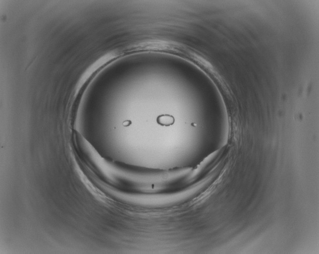 X0000083051426200702021207