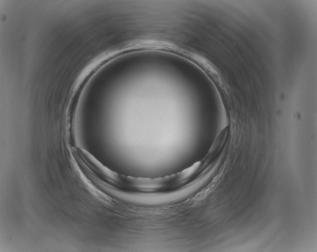 X0000083051430200702021207