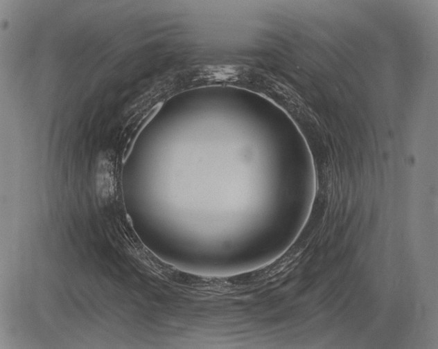 X0000083051442200702021206