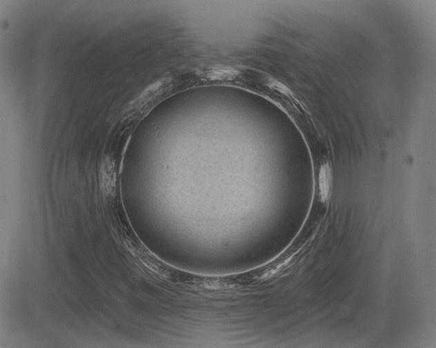 X0000083051443200702021206