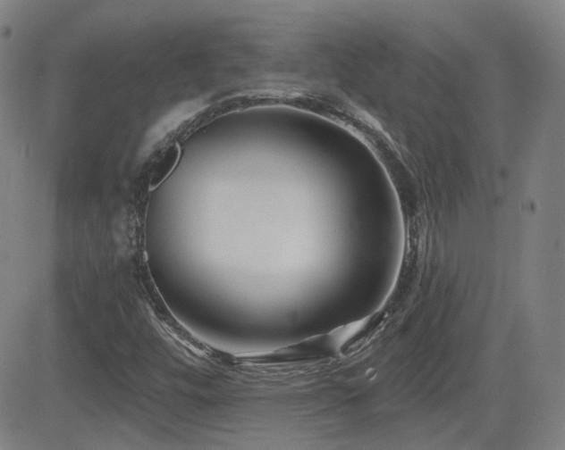 X0000083051448200702021206