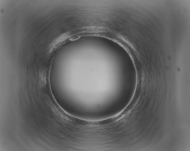 X0000083051451200702021206
