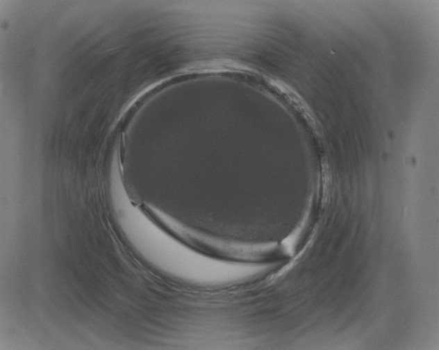 X0000083051457200702021206