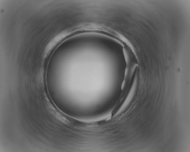X0000083051464200702021206