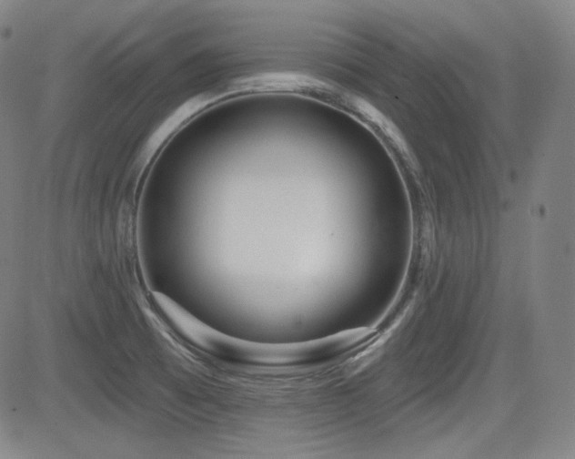 X0000083051473200702021206