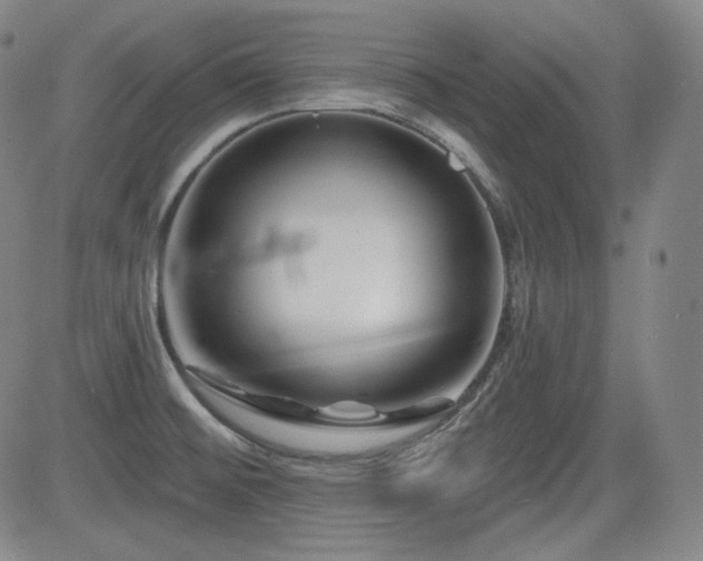 X0000083051476200702021206