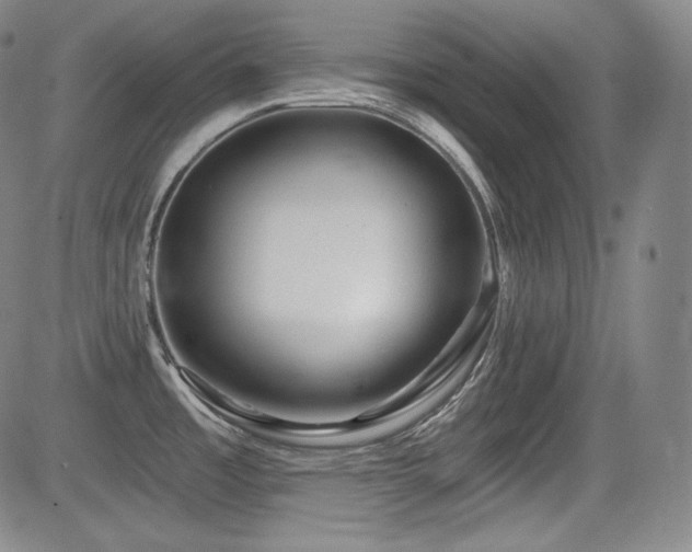 X0000083051485200702021206