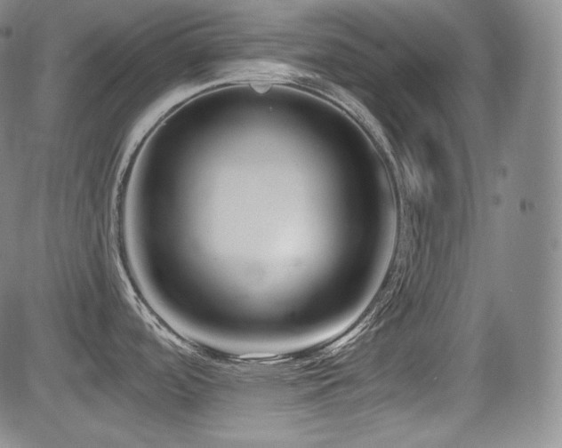 X0000083051488200702021206