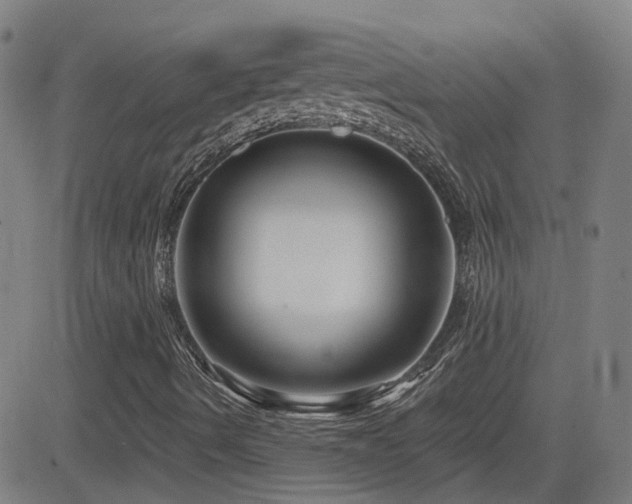X0000083051490200702021205