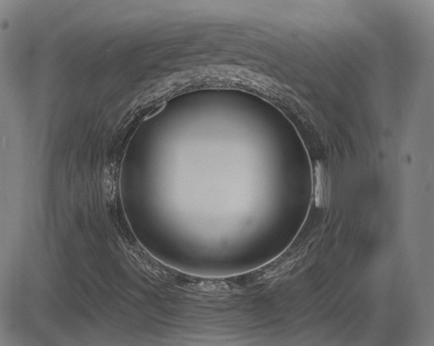X0000083051491200702021205