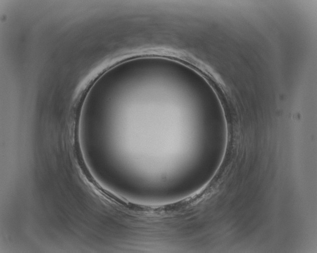 X0000083051504200702021205