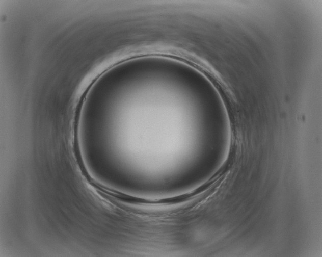 X0000083051512200702021205