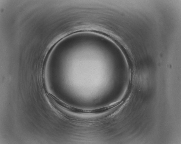 X0000083051513200702021205