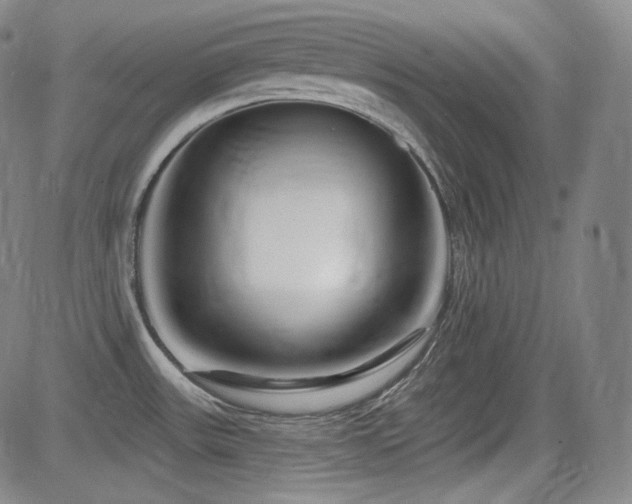 X0000083051531200702021205
