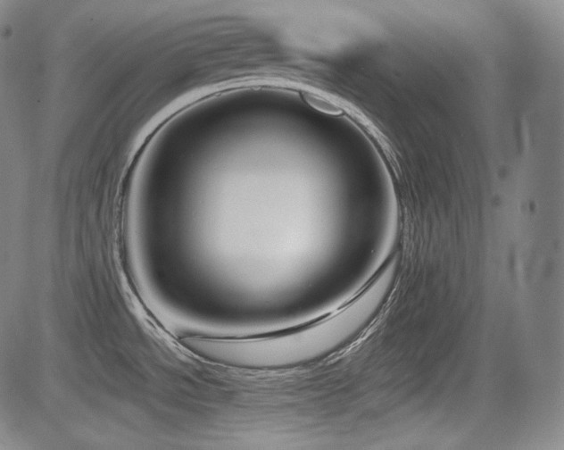 X0000083051534200702021206