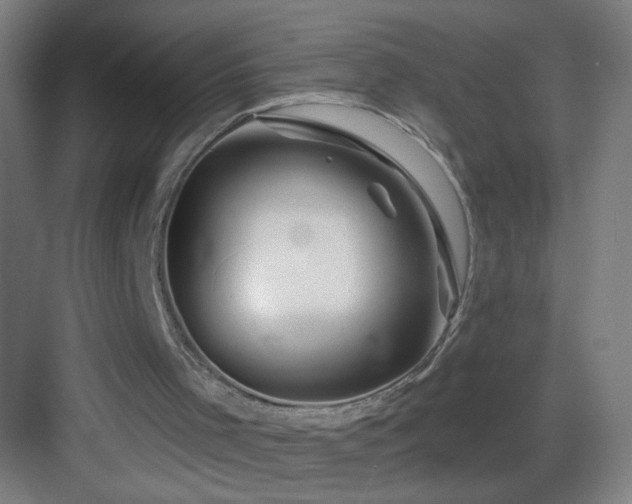 X0000083050001200702091450