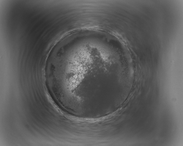 X0000083050002200702091450