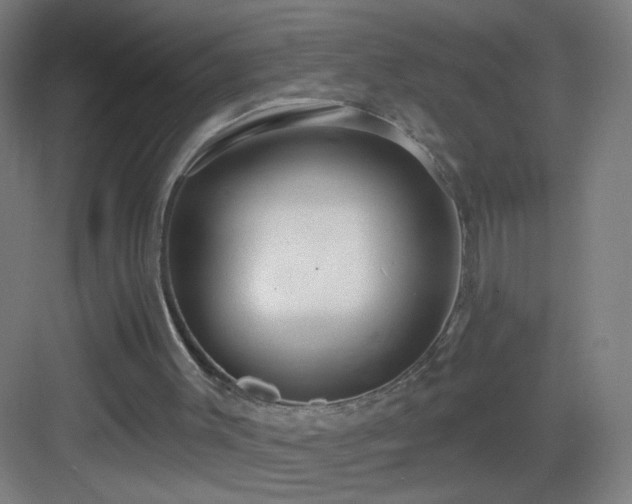 X0000083050003200702091450