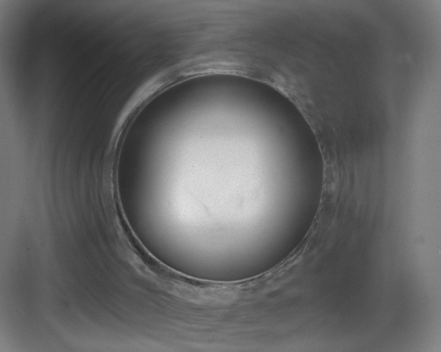 X0000083050004200702091450