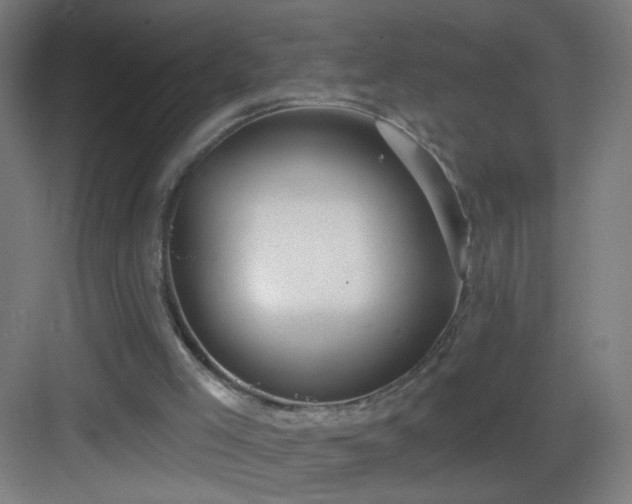 X0000083050005200702091450