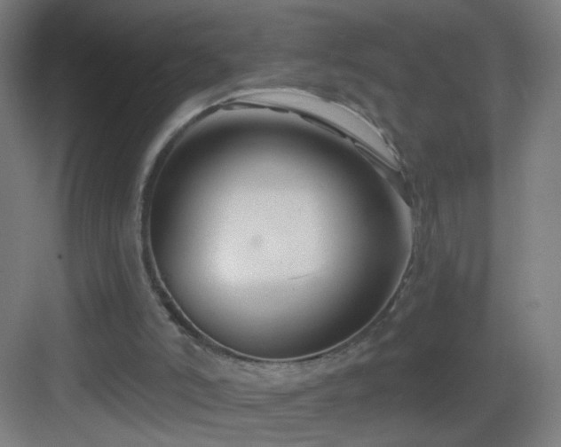 X0000083050006200702091450