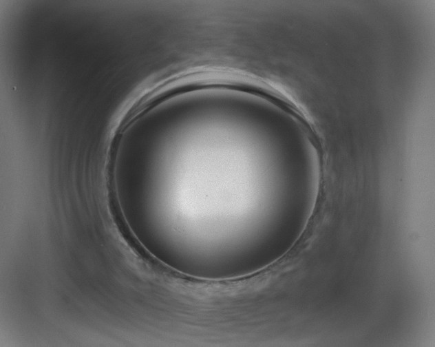 X0000083050007200702091450